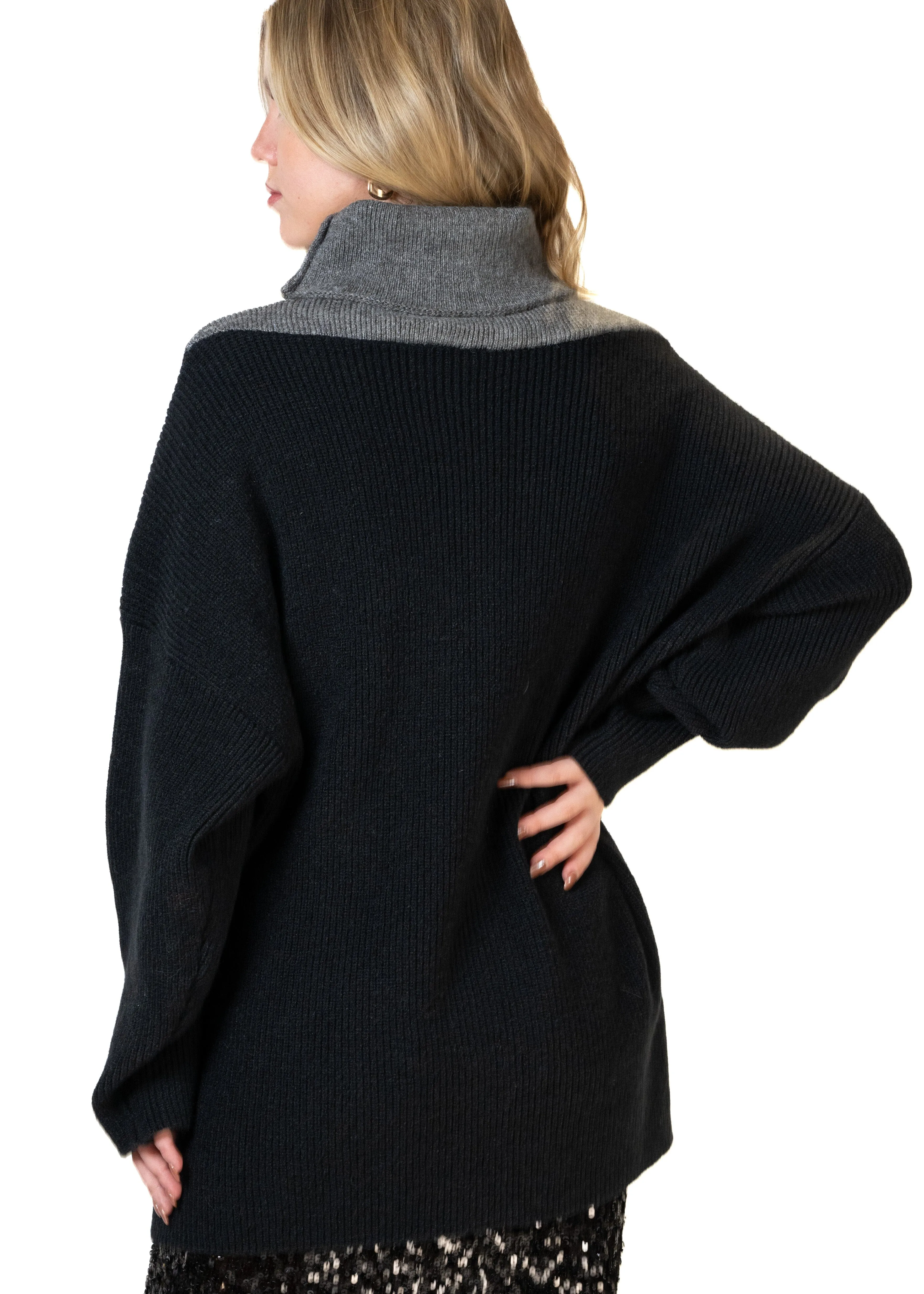 Color Block Turtleneck Sweater