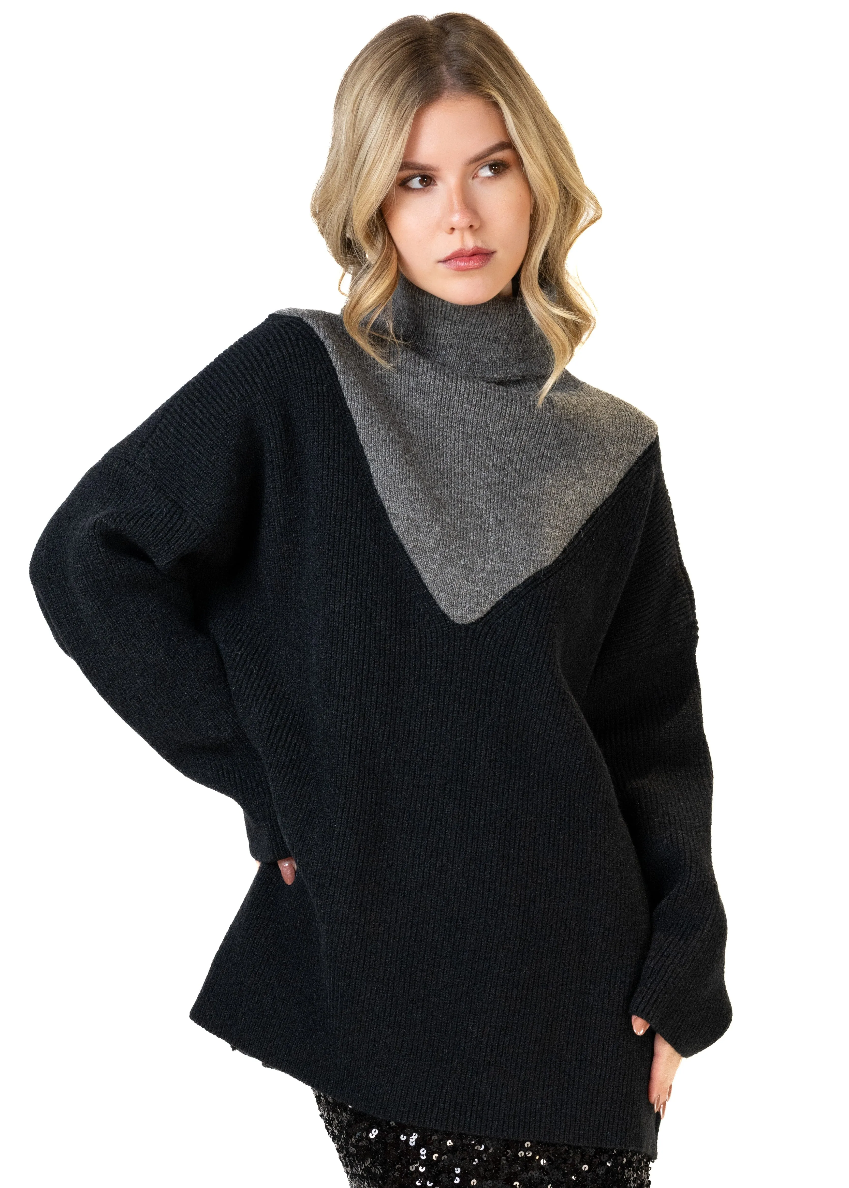 Color Block Turtleneck Sweater