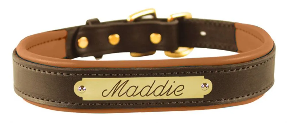 Perri's Brown Engraved Padded Leather Dog Collar- with colorful padding- USA made