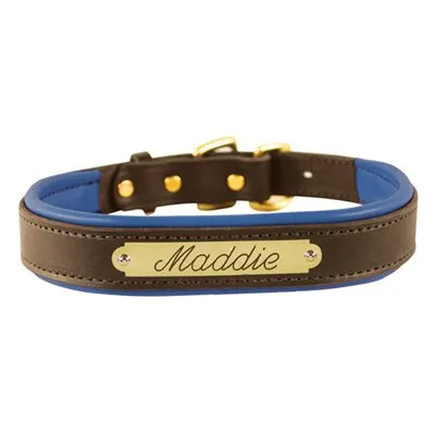 Perri's Brown Engraved Padded Leather Dog Collar- with colorful padding- USA made