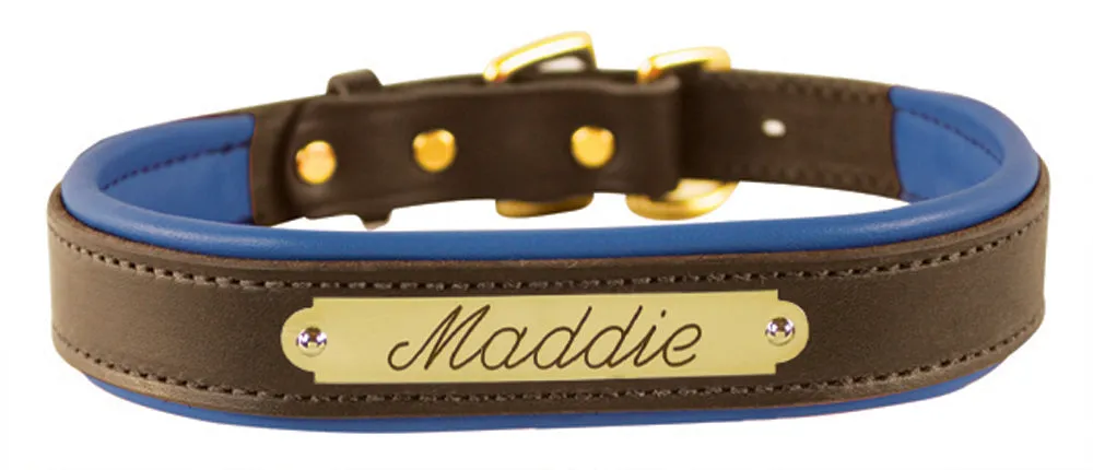 Perri's Brown Engraved Padded Leather Dog Collar- with colorful padding- USA made