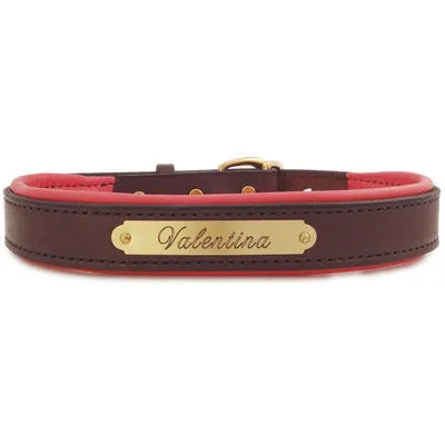 Perri's Brown Engraved Padded Leather Dog Collar- with colorful padding- USA made