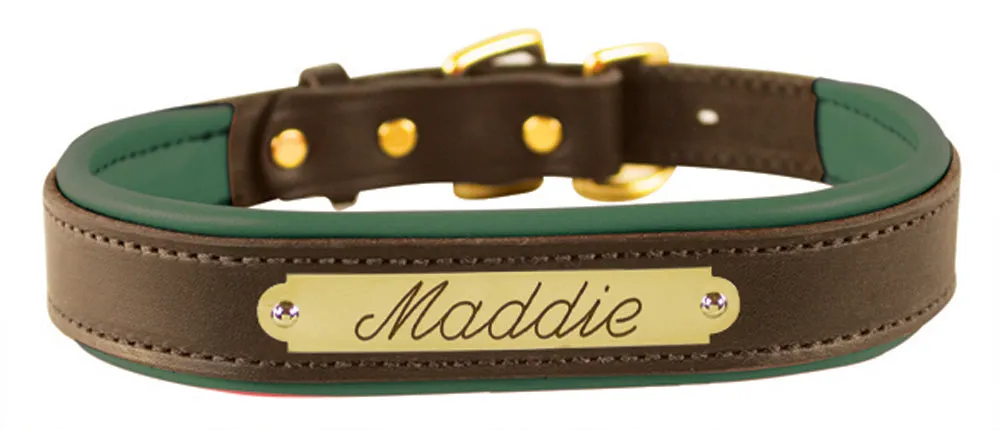 Perri's Brown Engraved Padded Leather Dog Collar- with colorful padding- USA made
