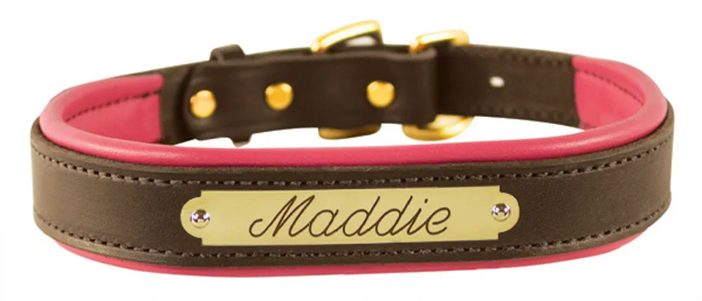 Perri's Brown Engraved Padded Leather Dog Collar- with colorful padding- USA made