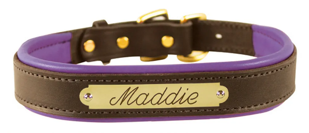 Perri's Brown Engraved Padded Leather Dog Collar- with colorful padding- USA made