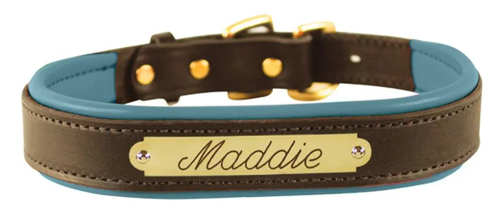 Perri's Brown Engraved Padded Leather Dog Collar- with colorful padding- USA made