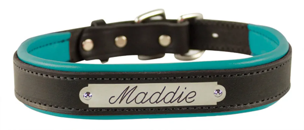Perri's Brown Engraved Padded Leather Dog Collar- with colorful padding- USA made