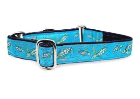 Sea Turtles - Martingale Dog Collar or Buckle Dog Collar - 1" Width