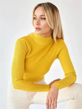 Women Turtleneck Sweaters Autumn Winter Slim Bottoming Knitted Tops Casual Elasticity Knit Pullover Female Long Sleeve Jumper